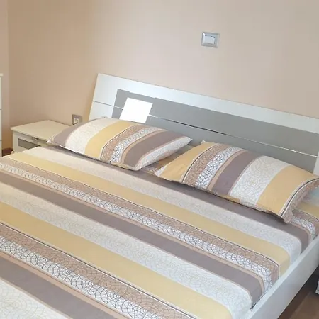 Amy 50m From The Apartment Novigrad (Istria)